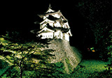 弘前公園ライトアップ