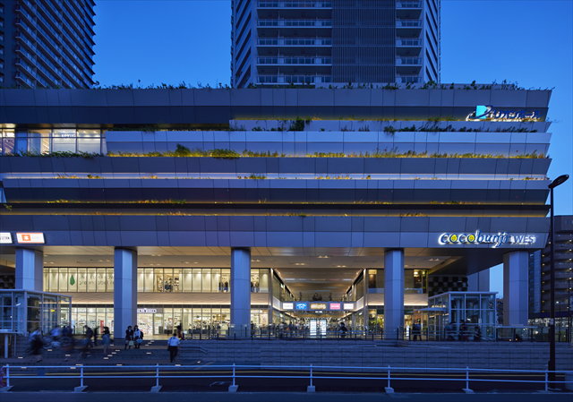 図４　緑化外壁