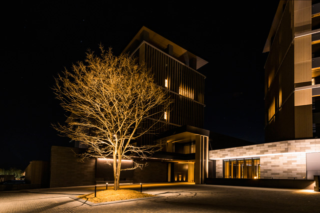 図3　レジデンスエントランスのシンボルツリー