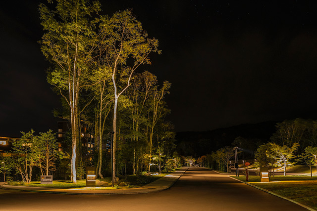 図4　各棟を繋ぐアプローチ道