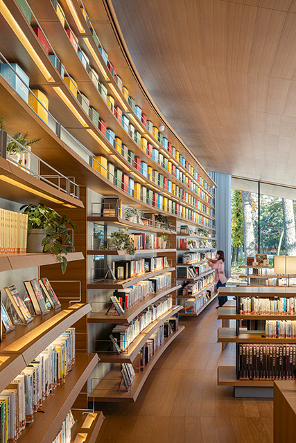 図２　壁面書架