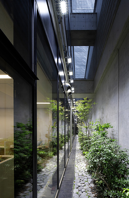 図３　地下2階の自習室に隣接するドライエリア