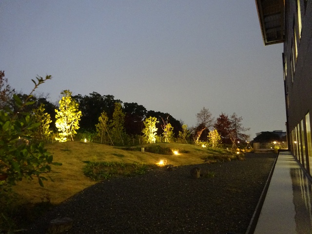 図３　はびきのガーデン夜景