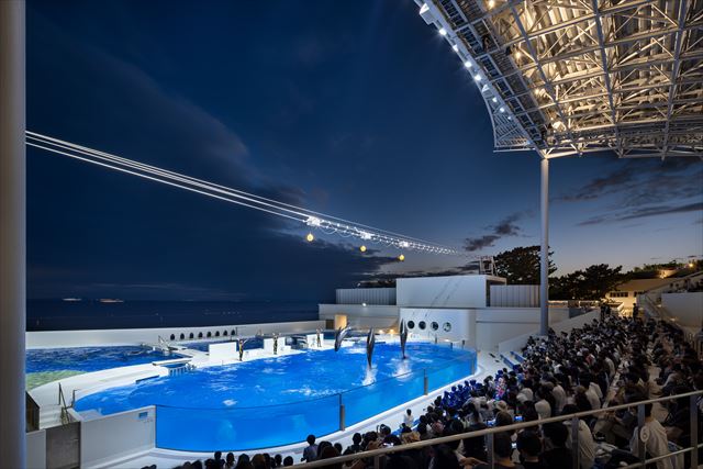 図２　ドルフィンスタジアム