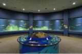 公益社団法人おたる水族館 リニューアル